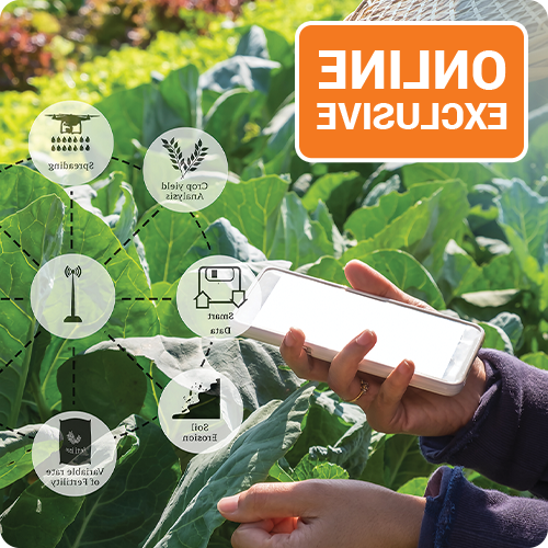 Data and AI Management in Smart Agriculture